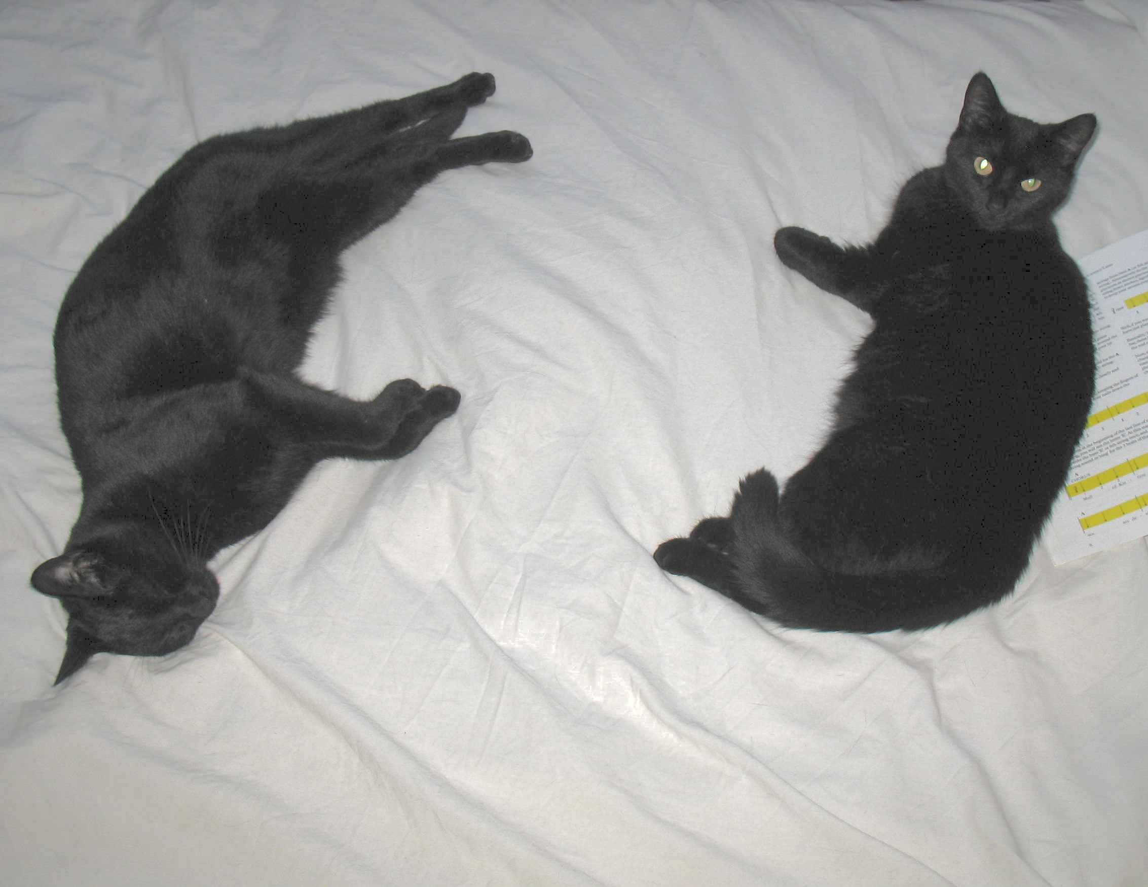 Jake and Ebony